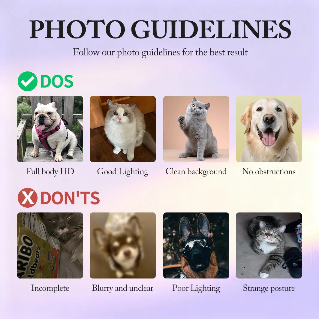 Photo guidelines for best result — dos and don’ts for pet picture upload