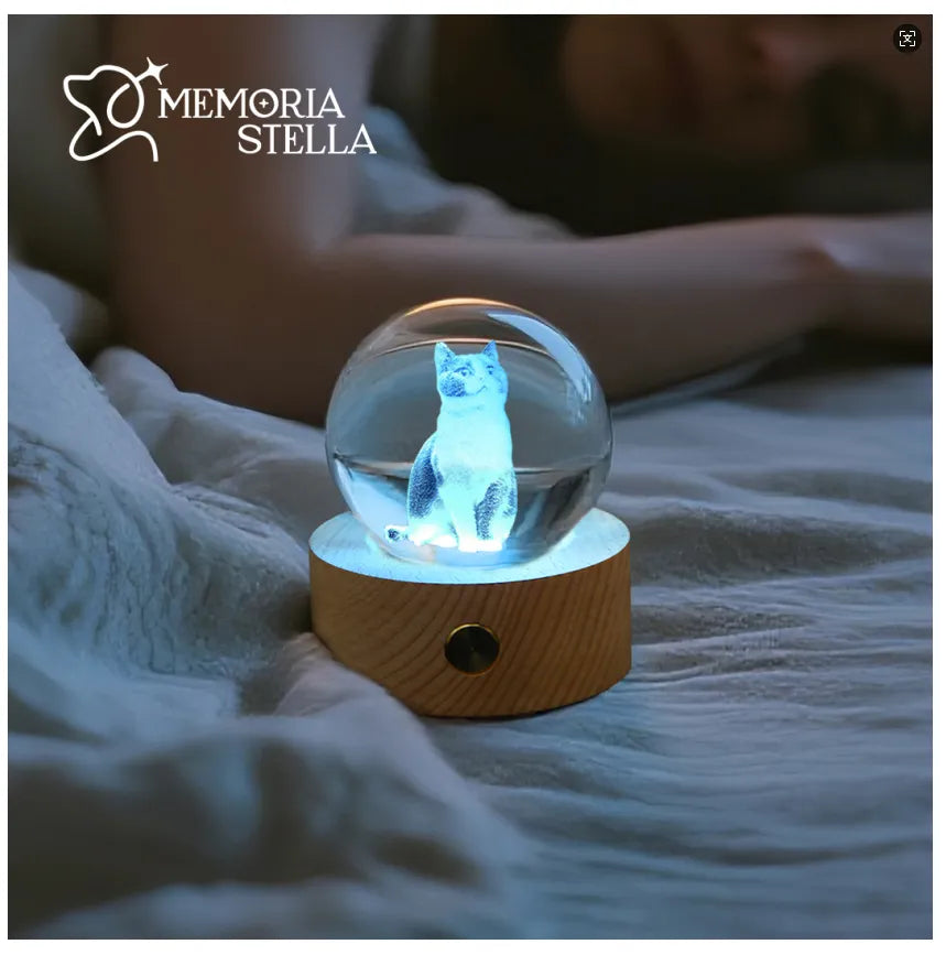 Custom Pet Crystal Night Light – Keep Their Memory Alive ✨