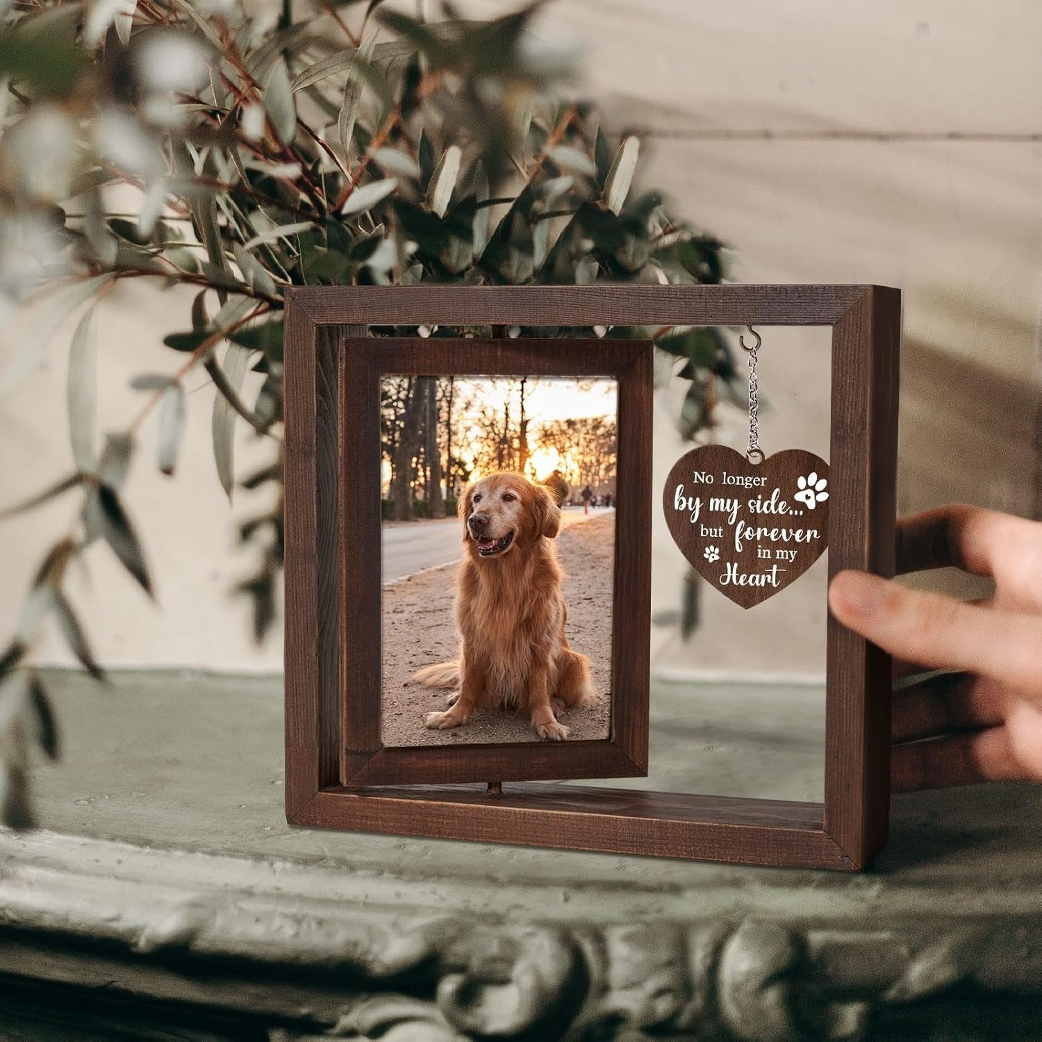 🌠Custom Pets Photo