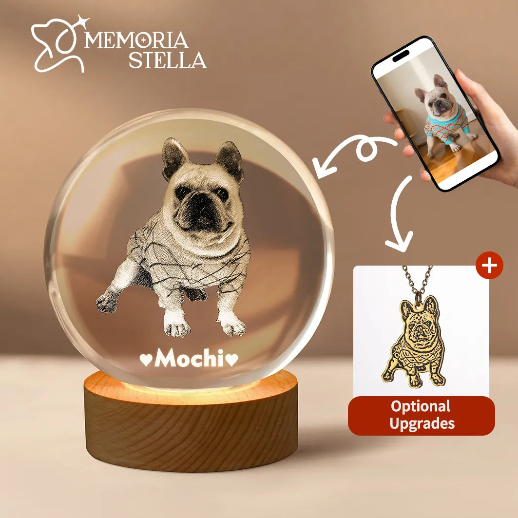 Custom crystal sphere night light for pet remembrance