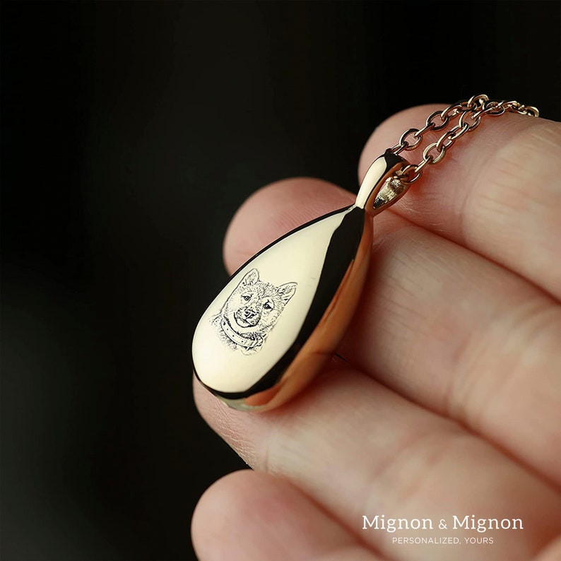 Custom Pet  Teardrop Cremation Ashes Necklace UNK11