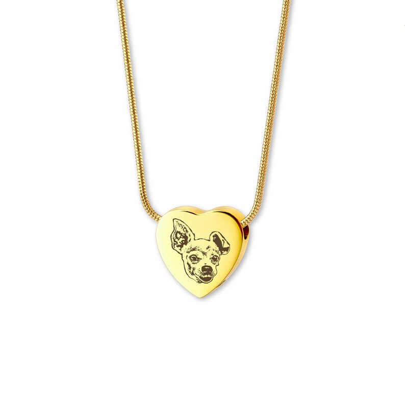 Custom Pet Heart Cremation Ashes Necklace UNK07