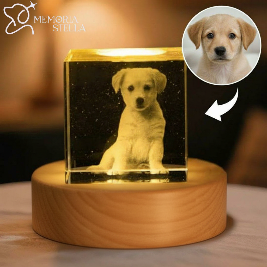 Square crystal night light with personalized photo engraving on LED base